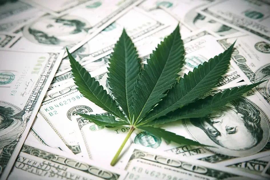 CannaBusiness Financing Solution - Cannabis Business Loans